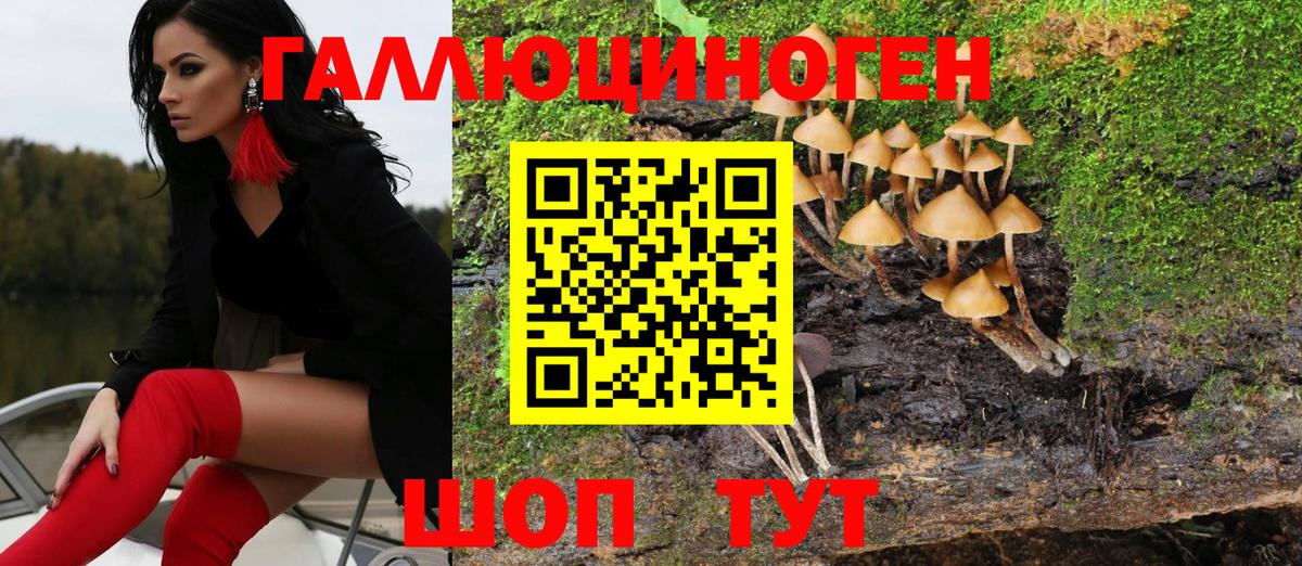 Псилоцибиновые грибы MAGIC MUSHROOMS Тамбов