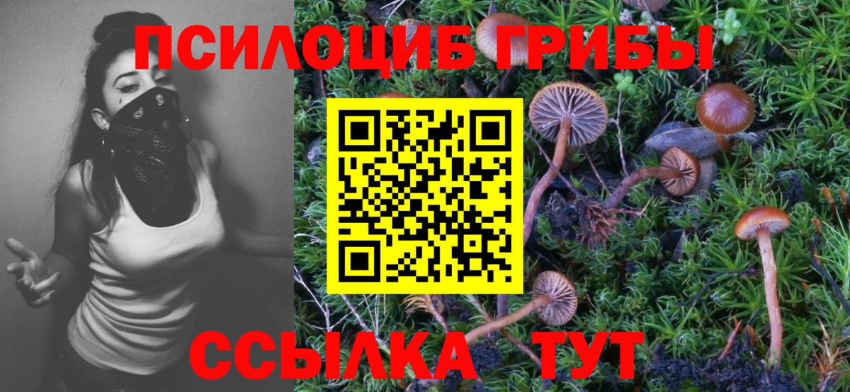 Псилоцибиновые грибы MAGIC MUSHROOMS  Вход с VPN  Тамбов 