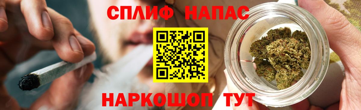 Бошки Шишки планчик  Вход с VPN  Бошки Шишки марихуана  Каннабис Amnesia  Тамбов 